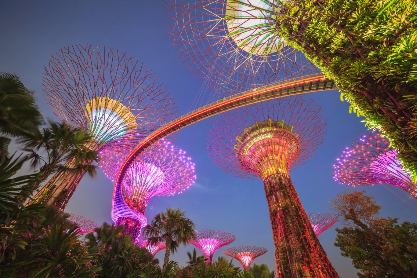 View looking up to the colour lights of the Gardens by the bay in Singapore