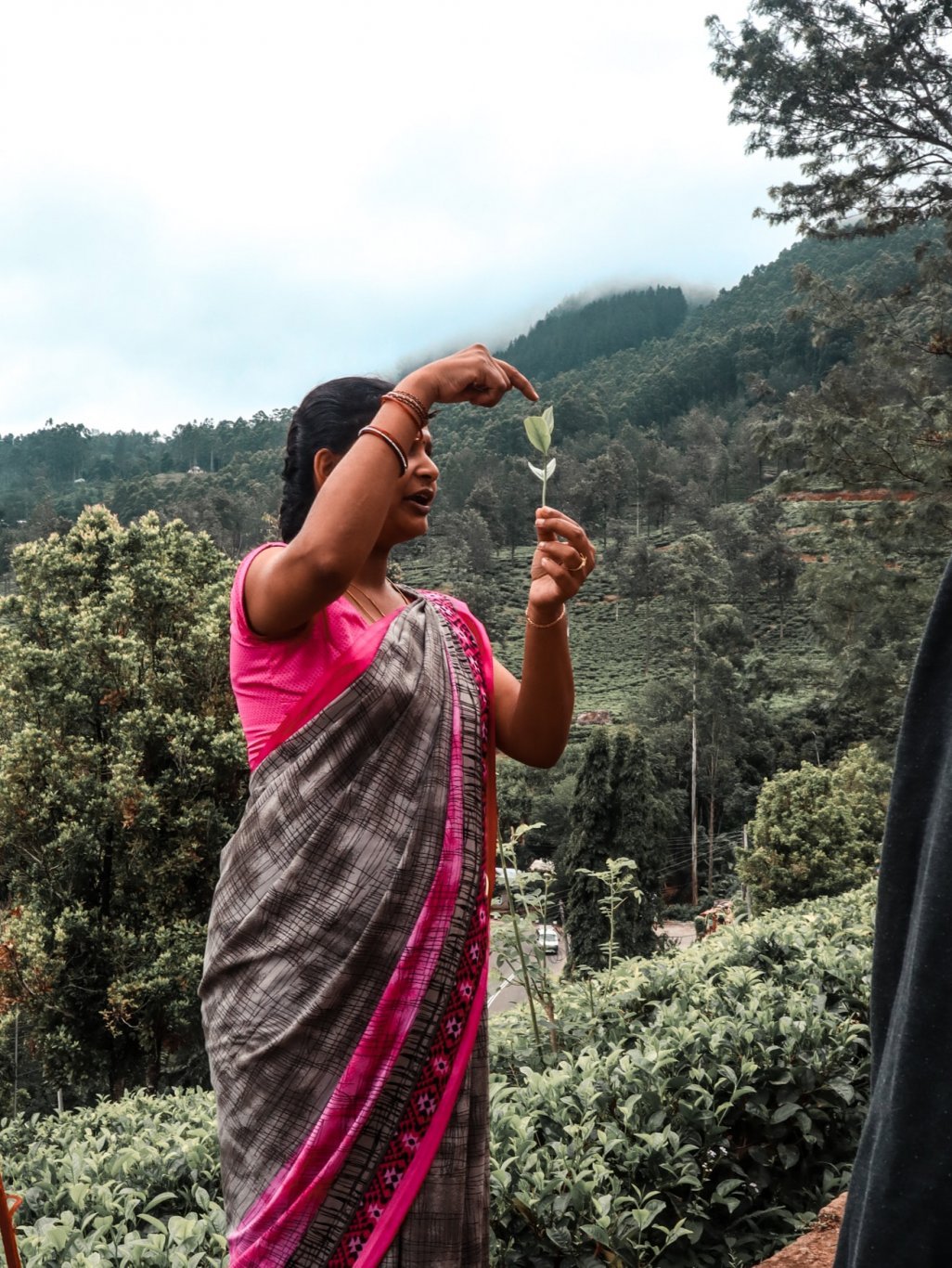 Sri Lanka Woman holding a tea leaf at a tea plantation