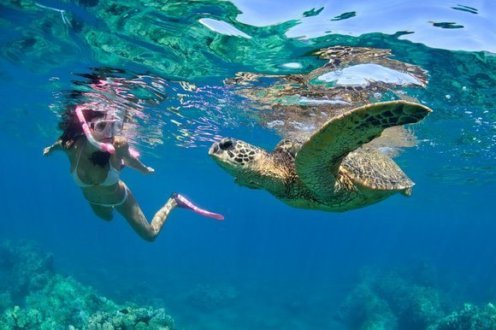 A girl going snorkelling swimming with a turtle in the clear blue sea