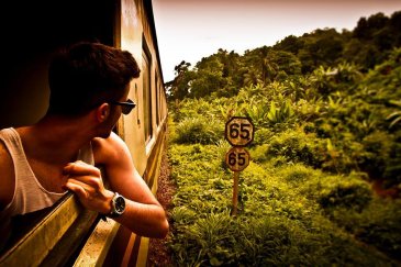 A guy on a train going through lush greenery looking at the view from the window 