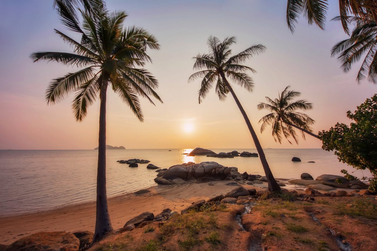 Koh Phangan beach sunset palm trees