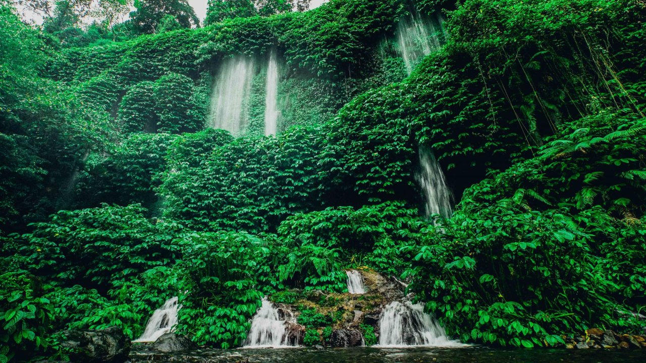 Green trees with waterfall running down in Lombok Indonesia