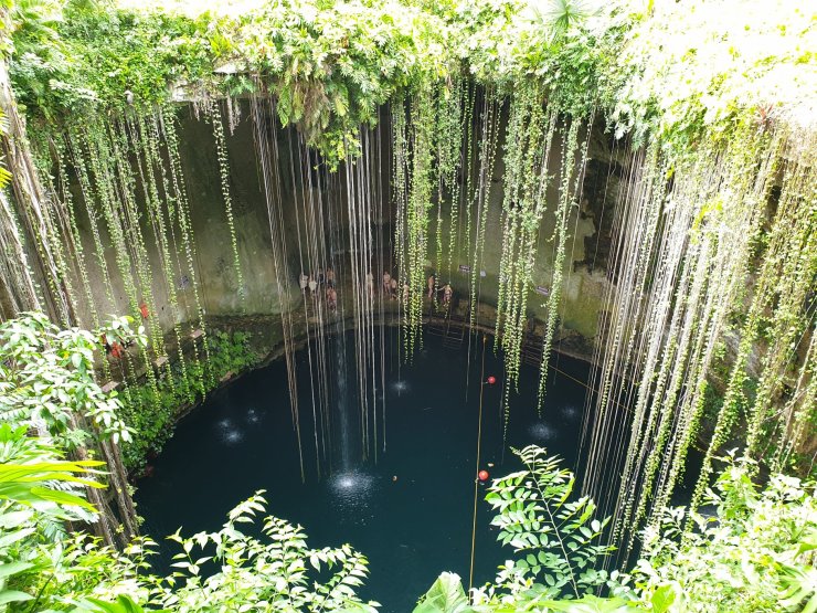 A shot of a bright blue Cenote from above, showing the surrounding greenery in Mexico 
