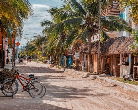 A picturesque shot of a road lined with palm tree in Isla Holbox, Mexico 