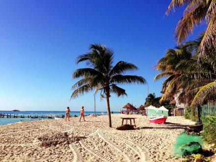 A picturesque shot of Playa Del Carmen, Mexico showing the bright blue sky, golden sand beach and palm trees. 