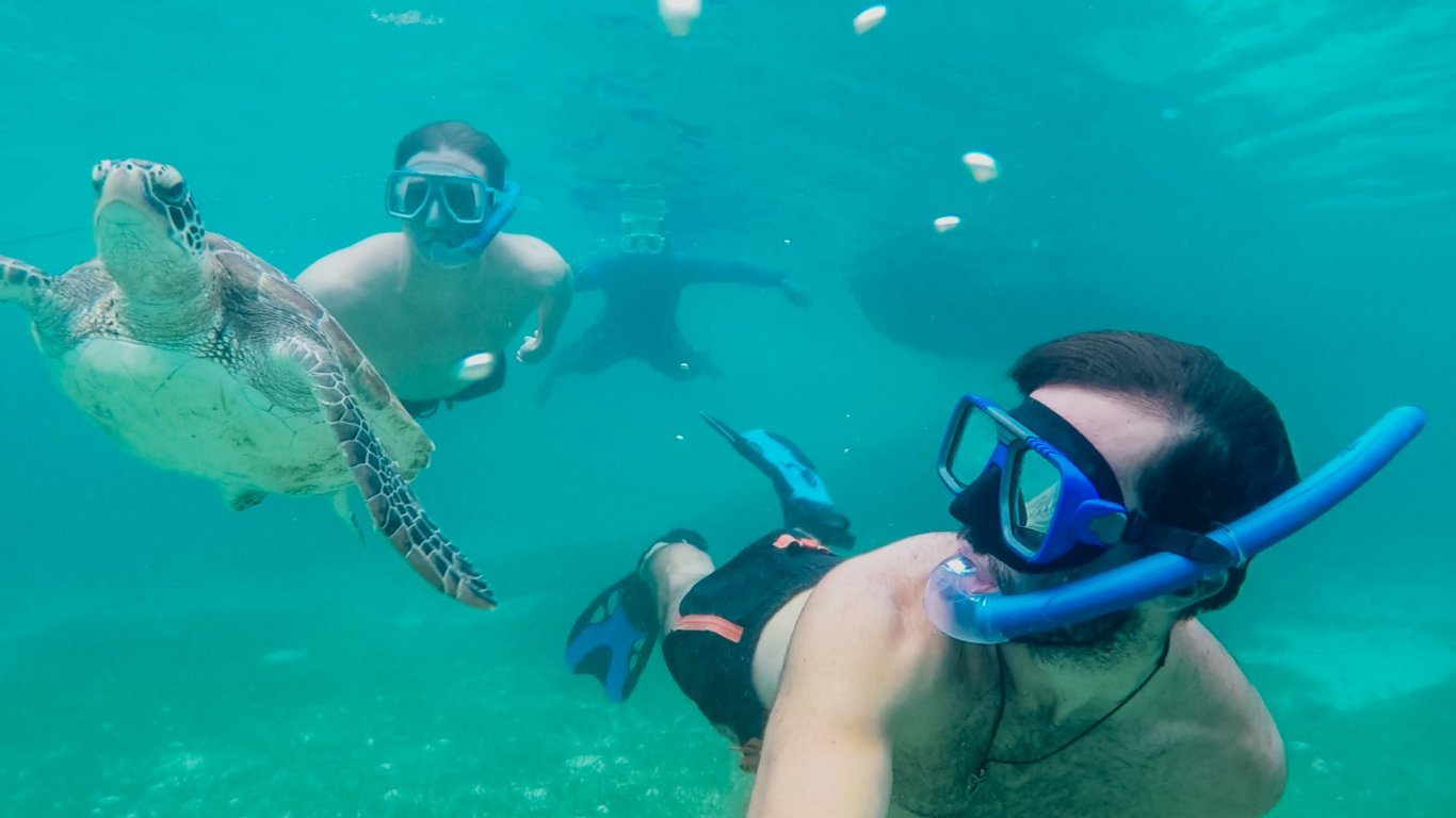 Men underwater snorkelling with turtles in clear blue sea
