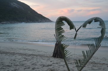 bottle beach love heart tree 