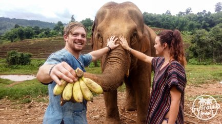 volunteering at elephant sanctuary couple