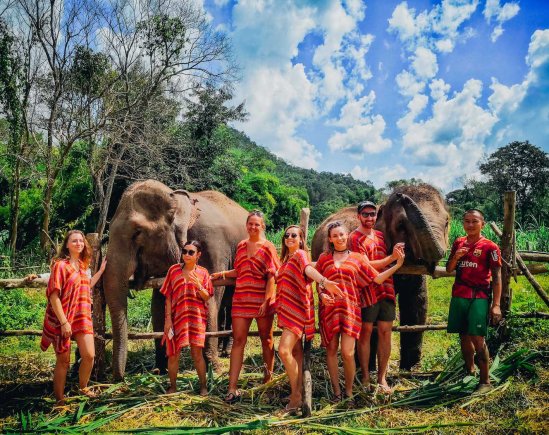 A group photo with the elephants in Chiang Mai Thailand 