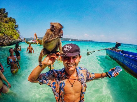 Amazing photo of a monkey sitting on a mans hand in Koh Phi Phi Thailand 