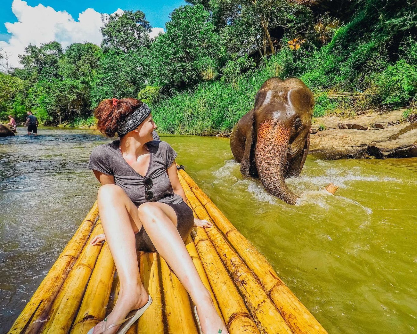Elephant in river - Northern Thailand