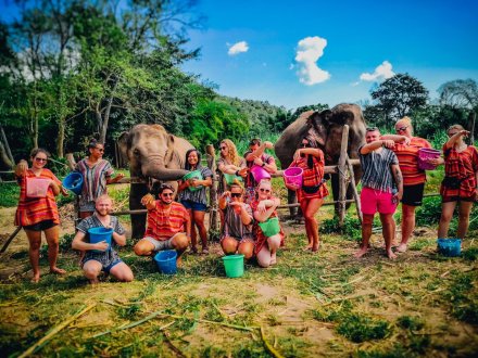 Meeting the elephants with buckets of bananas ready to feed them in Chiang Mai Thailand